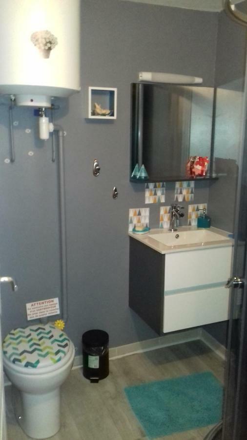 Studio 1 Apartment Saint-Martin-la-Plaine Ngoại thất bức ảnh
