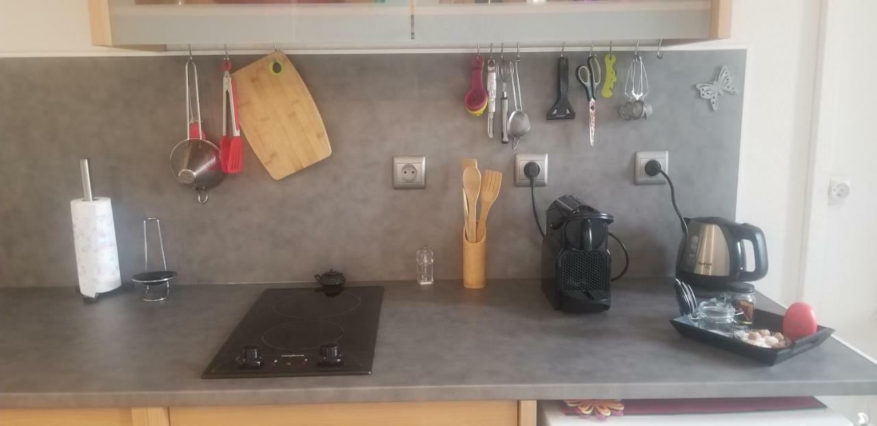 Studio 1 Apartment Saint-Martin-la-Plaine Ngoại thất bức ảnh